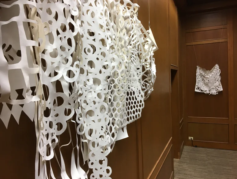 smFuller installation.jpg