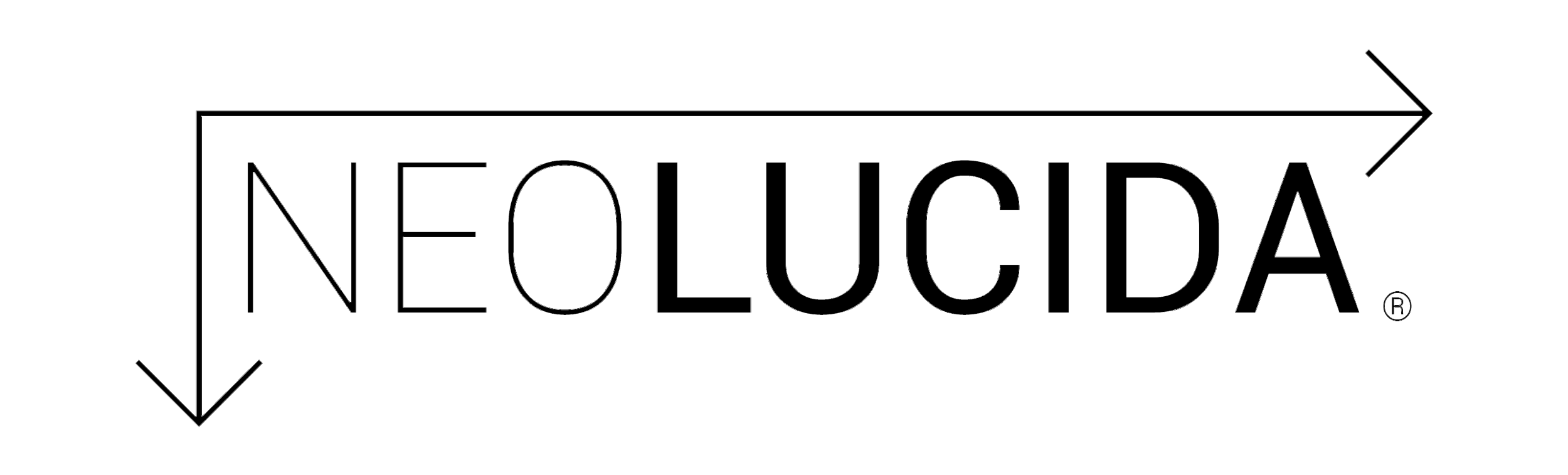 Camera lucida. Neolucida. neolucida xl. значки lucida. камера neolucida xl - своими руками.