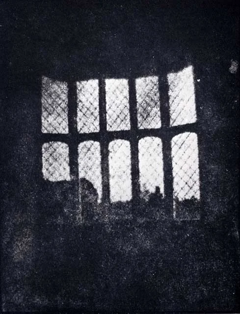 Henry Fox Talbot, “Photogenic Drawing” of Erica Mutabilis, 1839