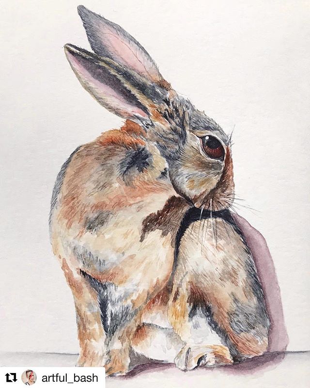 #Repost @artful_bash (@get_repost)
・・・
Sennelier Aquarelle on 140lb Fabriano HP paper, 5 x 7&rdquo; In the home stretch&mdash; 6 more arts to finish my @brooklynartlibrary Sketchbook!
.
.
.
#watercolor #watercolorartist #artistsoninstagram #rabbitsof