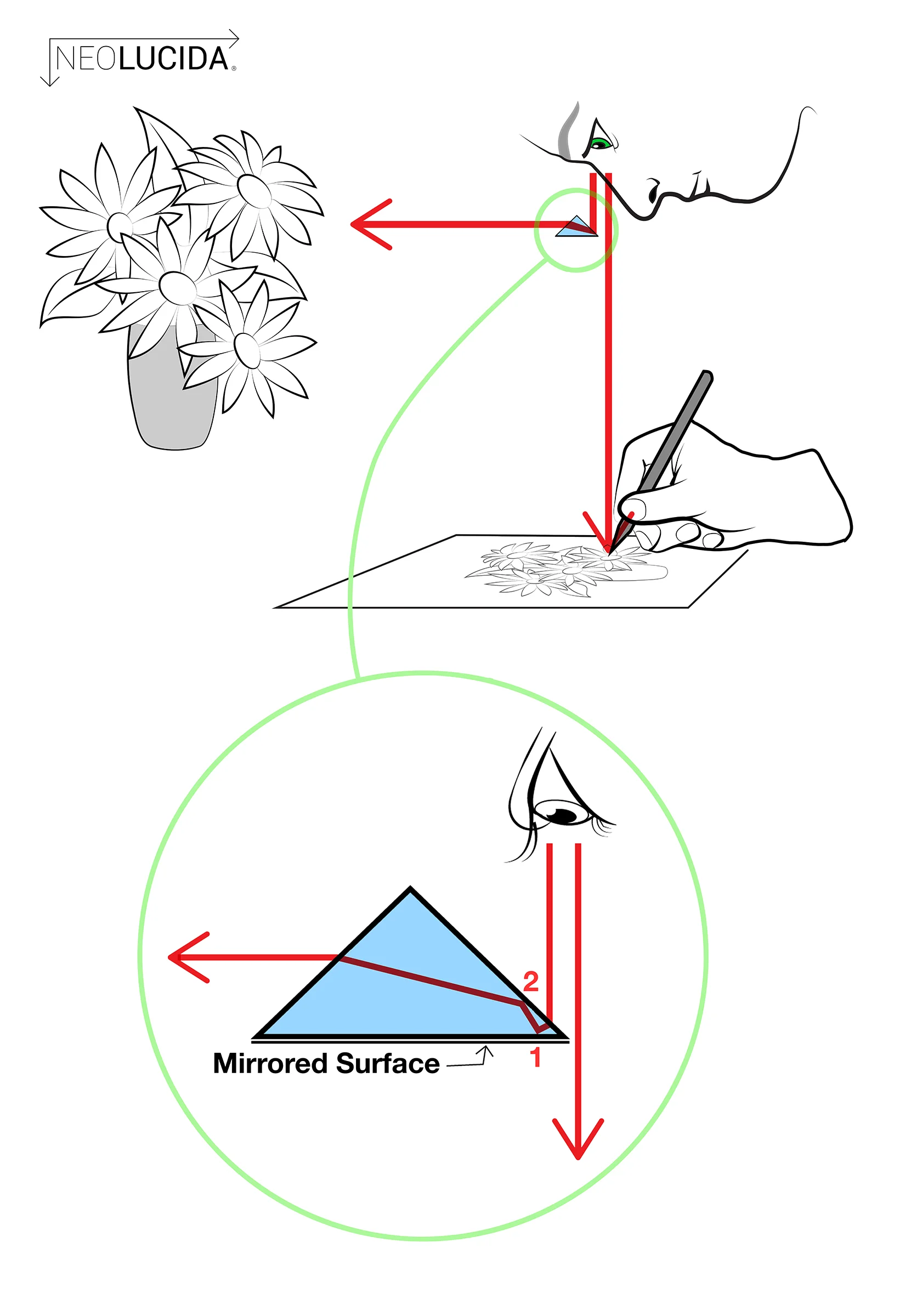 NL Prism Diagram 2400px.jpg