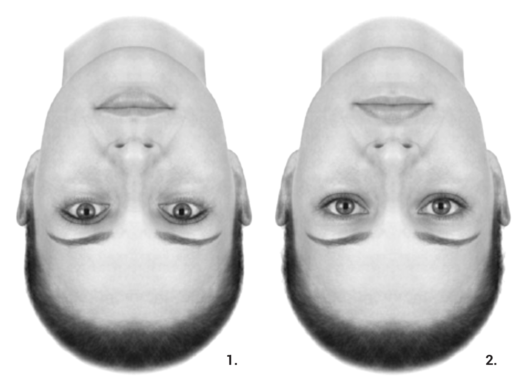   Example of the “Thatcher Effect”, from Little et al, “The many faces of research on face perception”, Philosophical Transactions of the Royal Society, 2011.  