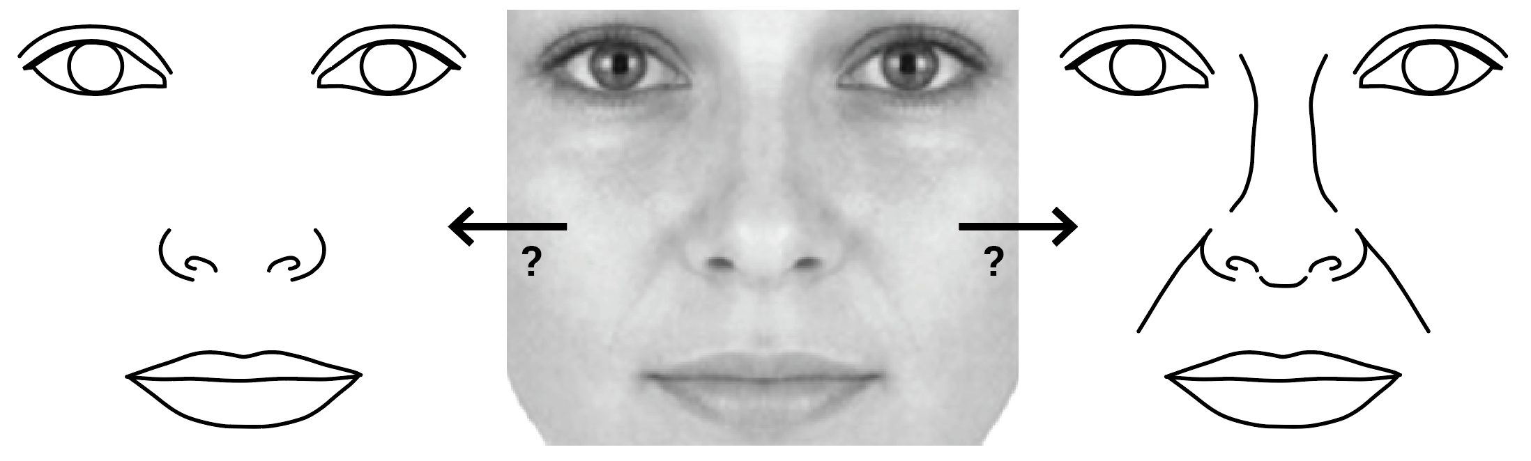 “The Nose Problem.” What lines do you draw? What do you leave out? What is best for the final drawing?