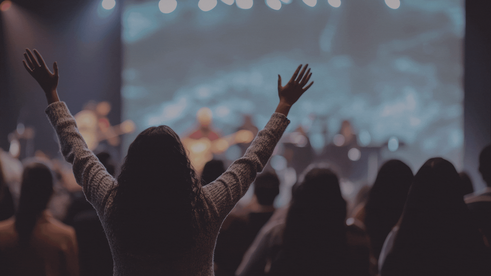 Website Slides 2025 (1).gif