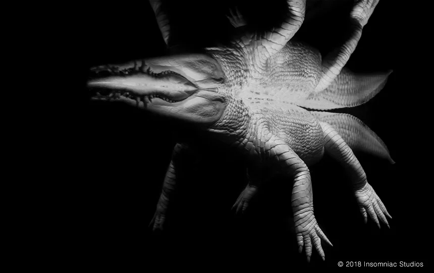 Insomniac Studios - Photography