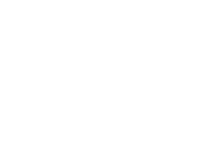 Penfield Little League logo redesign