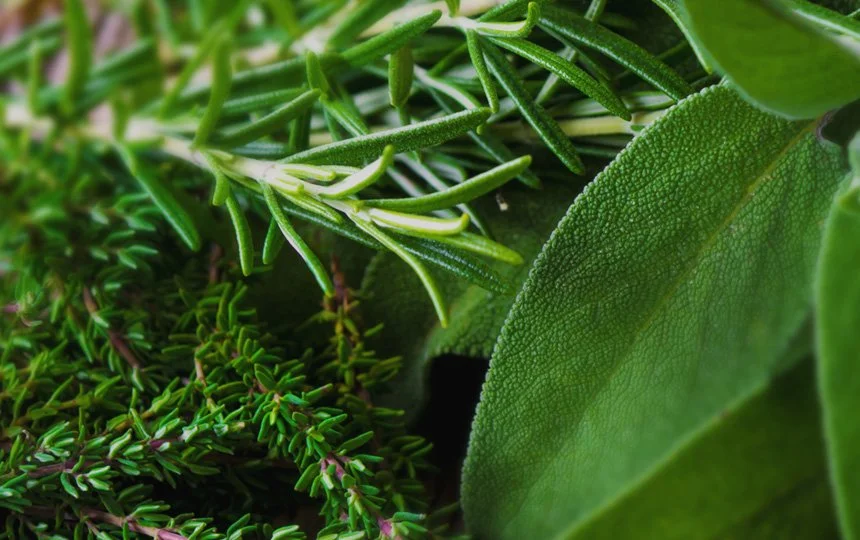 Organic Market Brand Identity