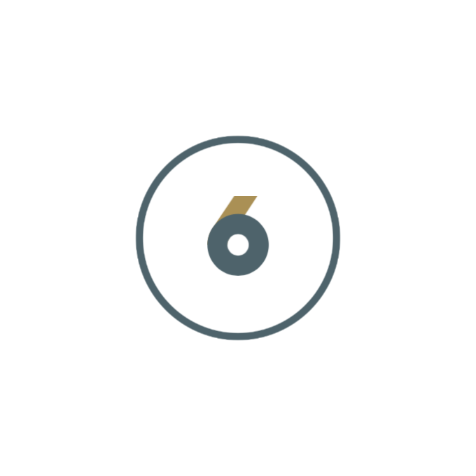 Six Icon.png