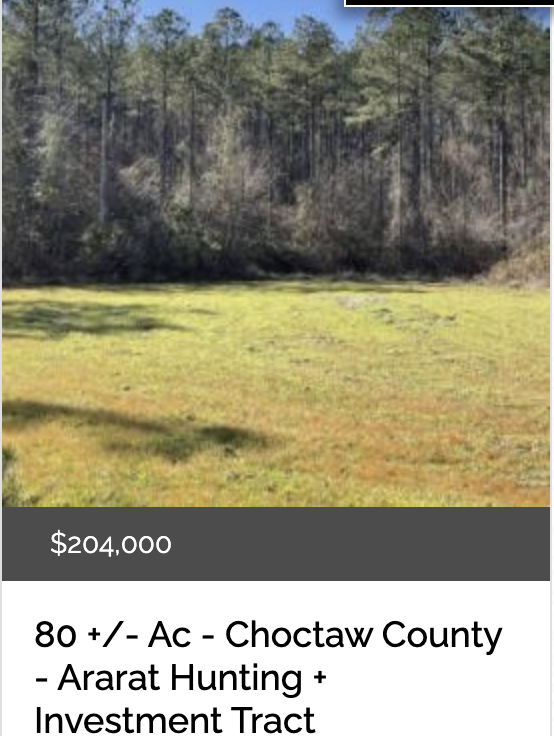 80 acres in Choctaw County, Alabama for sale