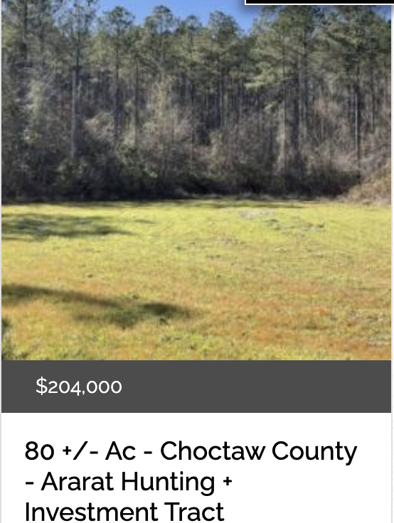 80 acres for sale in Choctaw County, Alabama