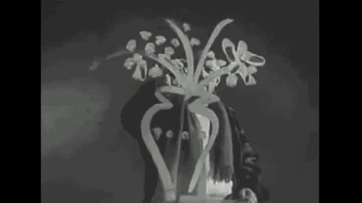 TF_Flowers_4.gif