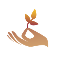 Academy.png