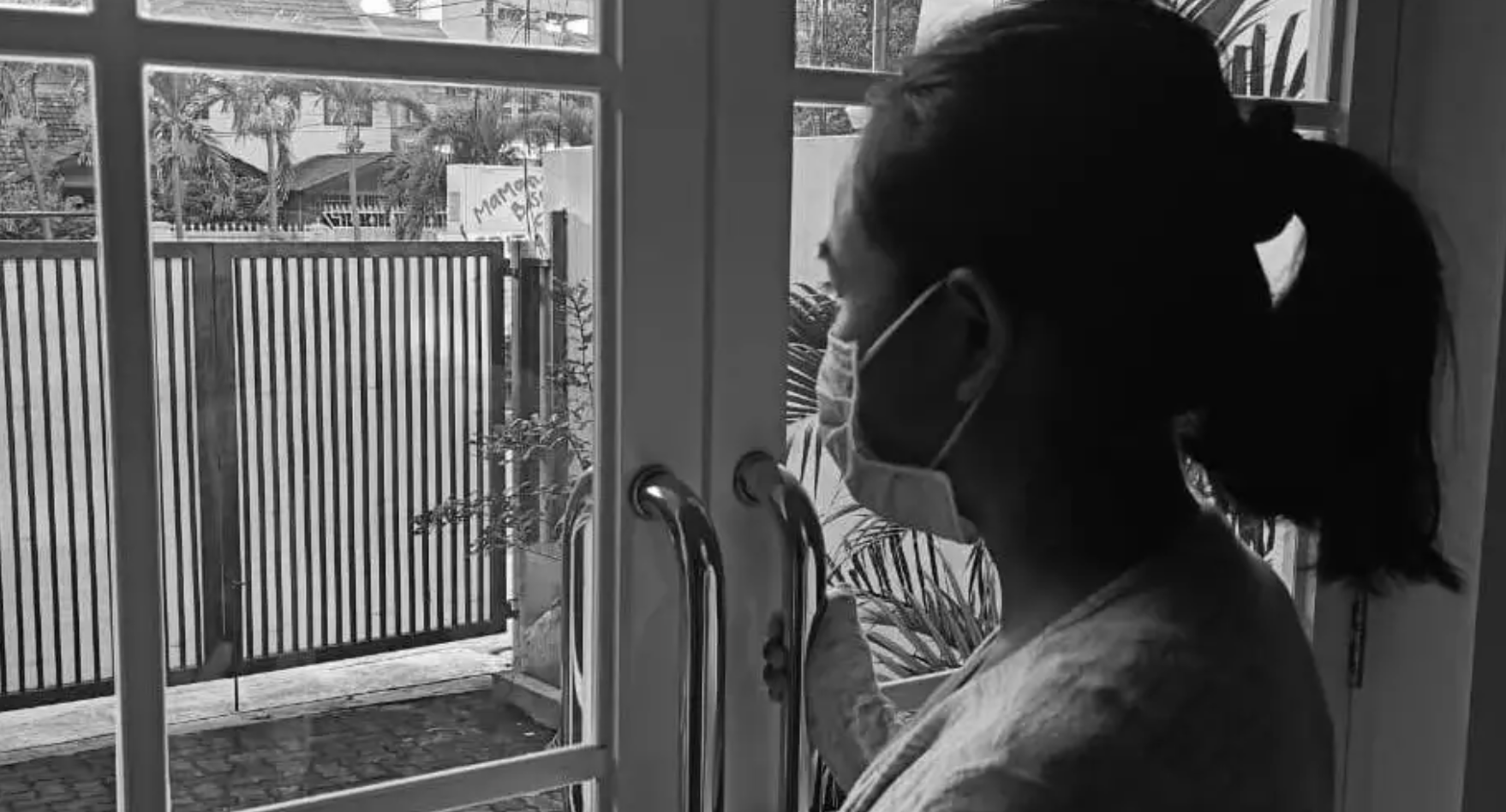 I Dream of Butterflies