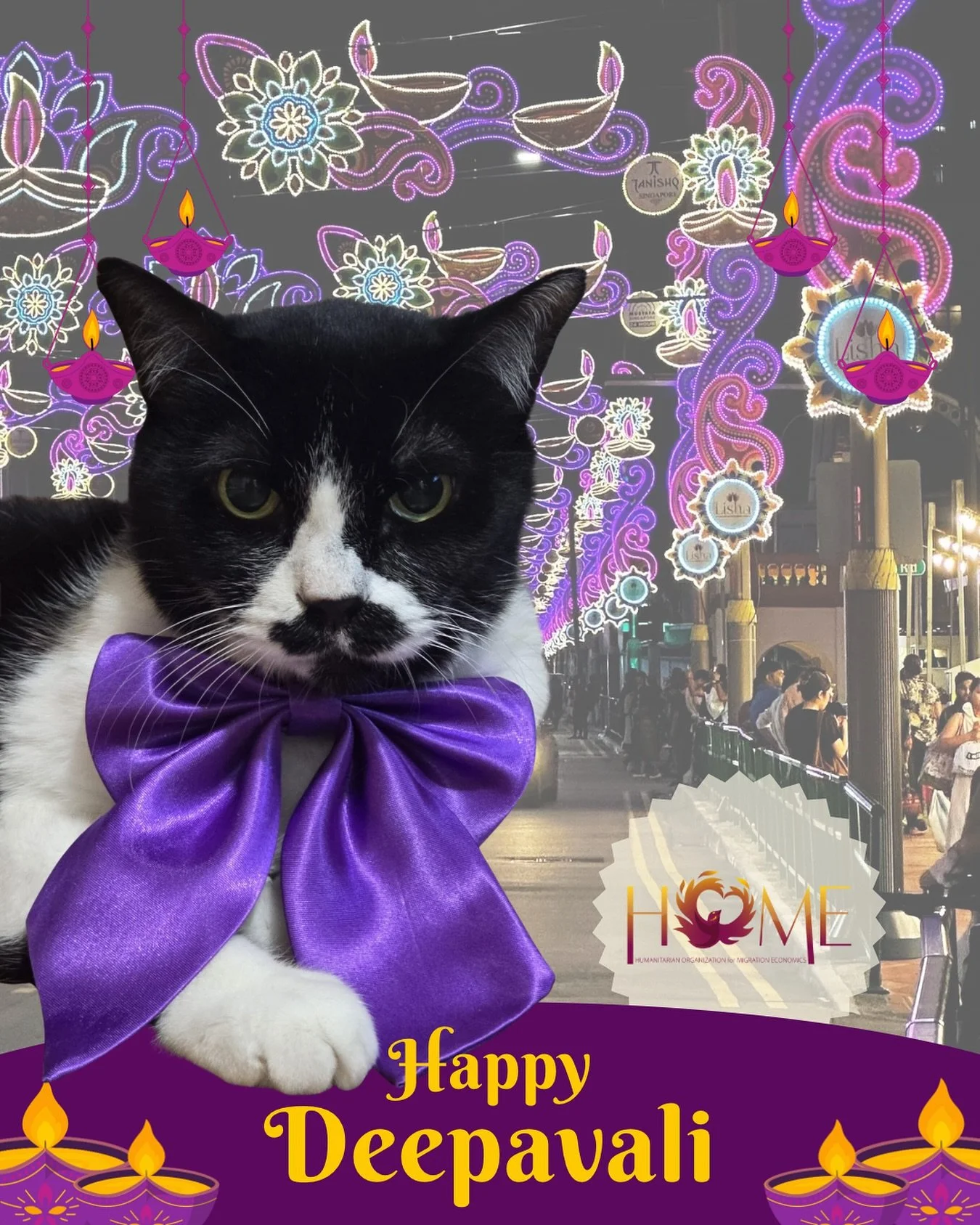 HOME, and our shelter cat, Ming Ming, wish everyone a purrfectly bright and joyous Deepavali! 🙏🏾🪔🎇