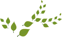 leaves for tin roof.png