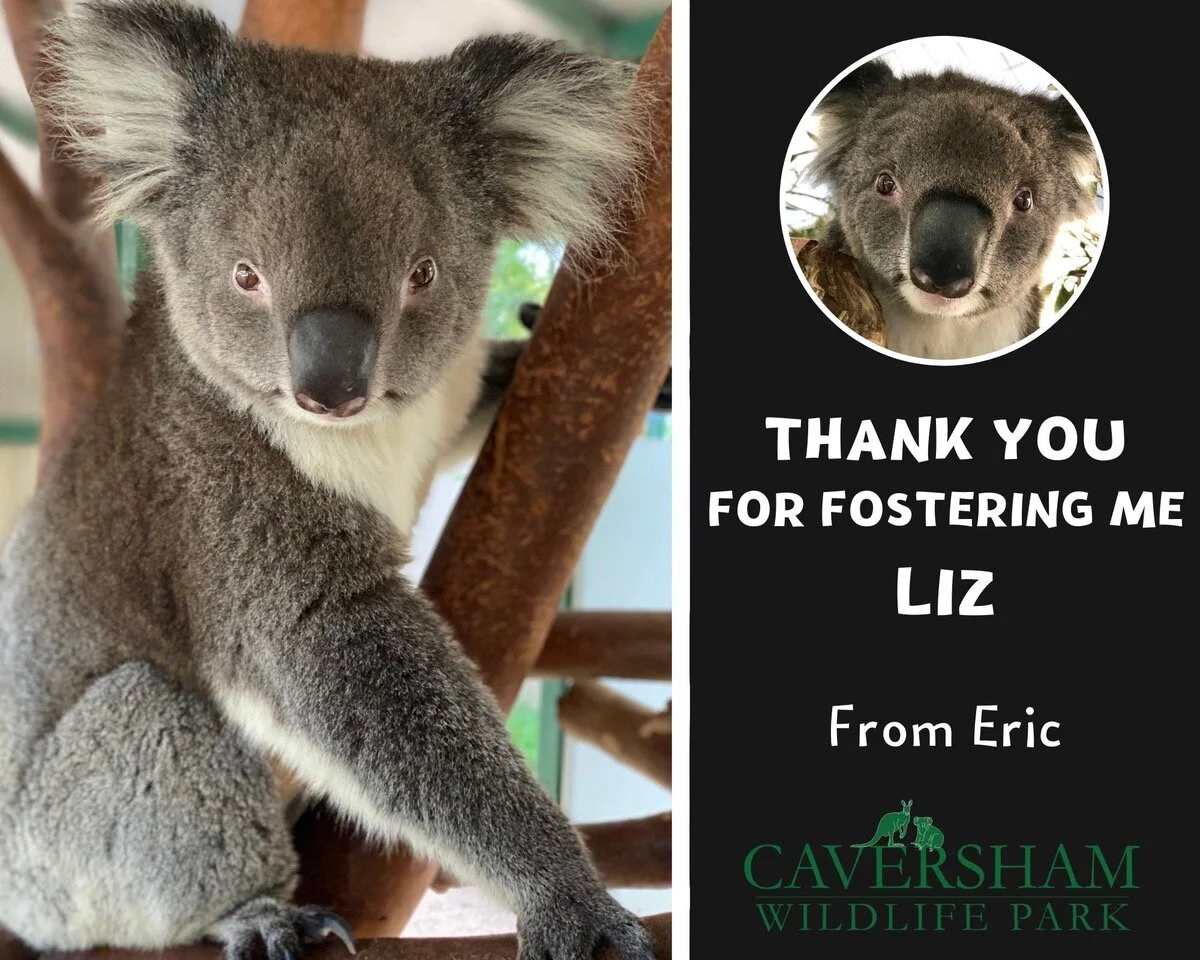 Thank you Liz, from Eric.jpeg