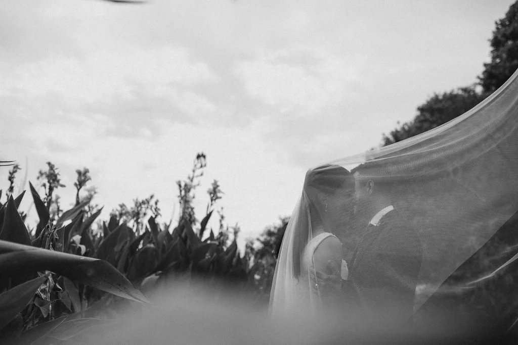 Wedding Planning Taranaki (2).jpg