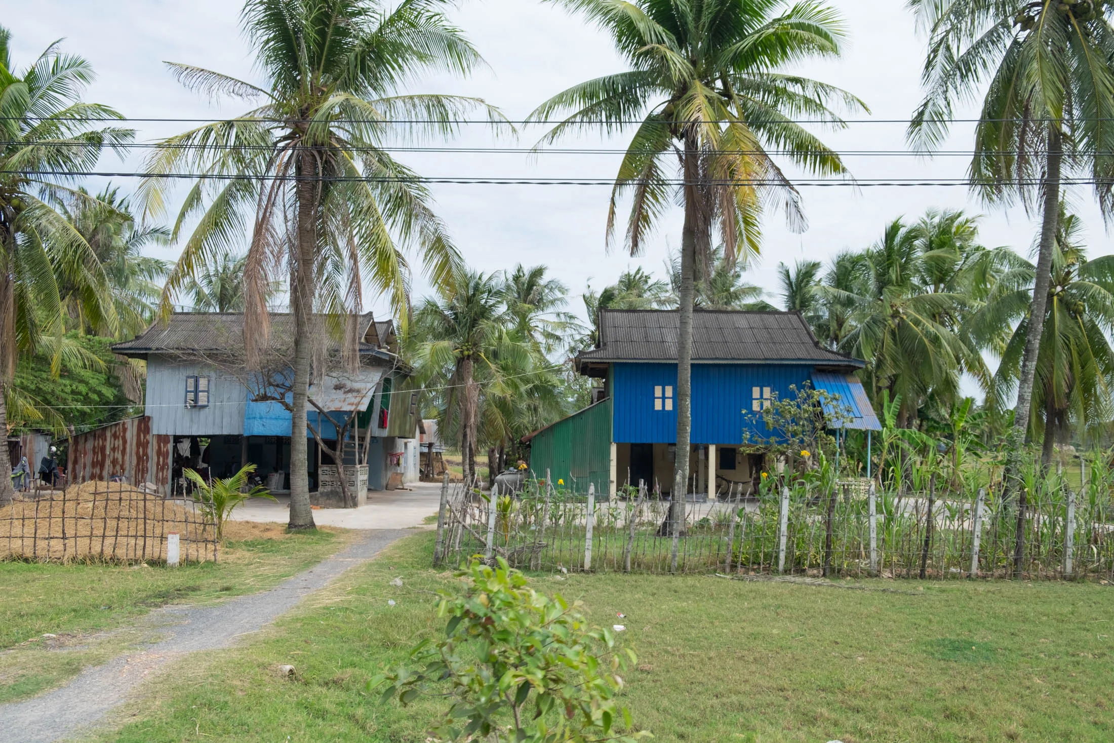 kampot_kep-8.jpg