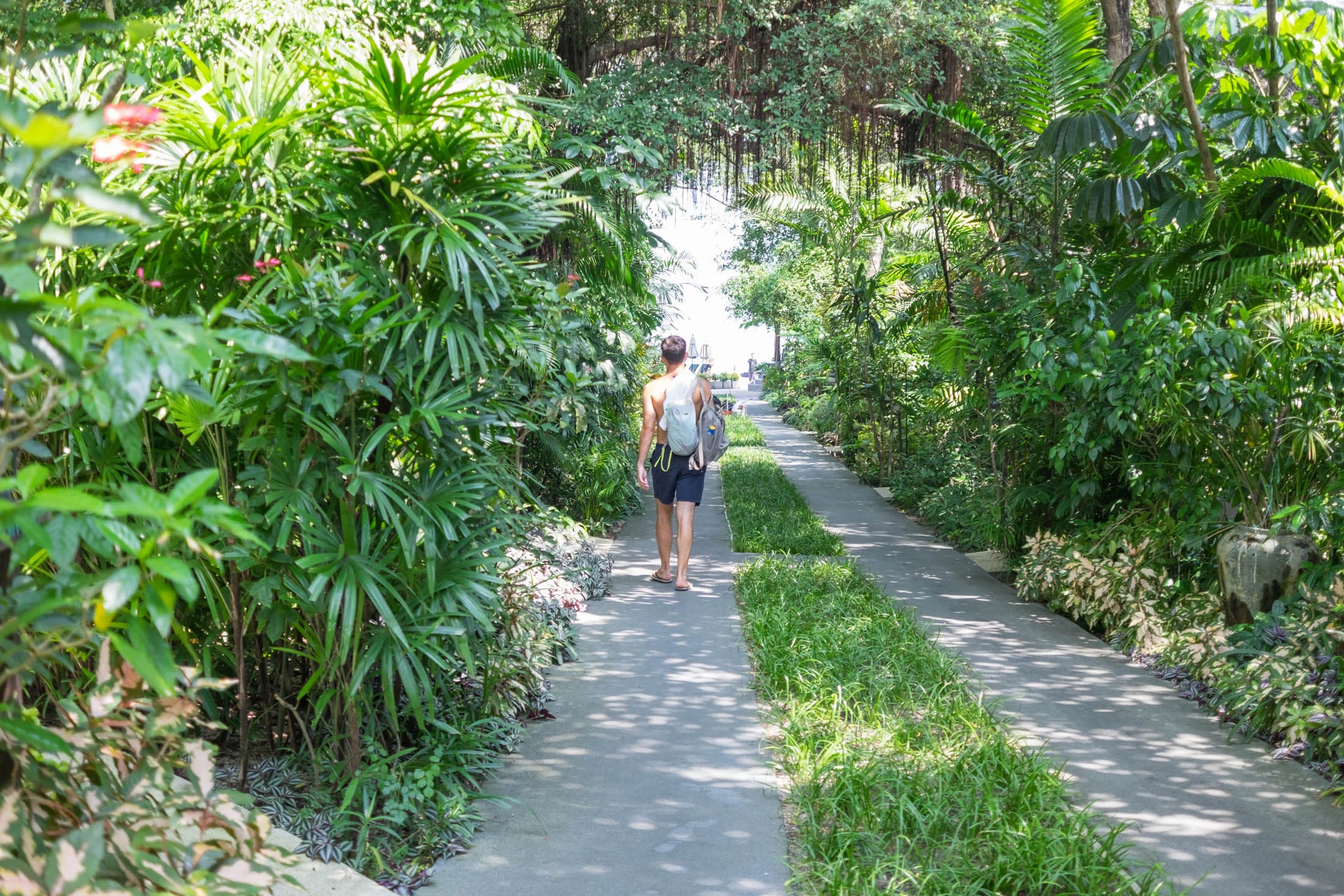 Samui_1_-3.jpg