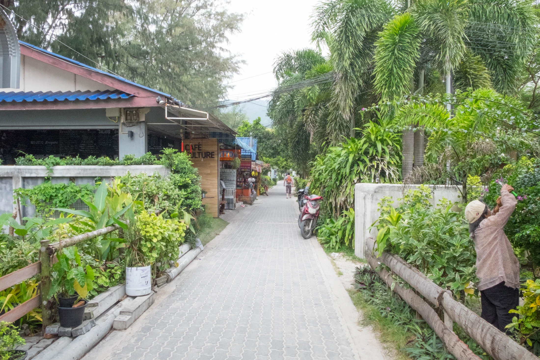 KohTao_-2-2.jpg