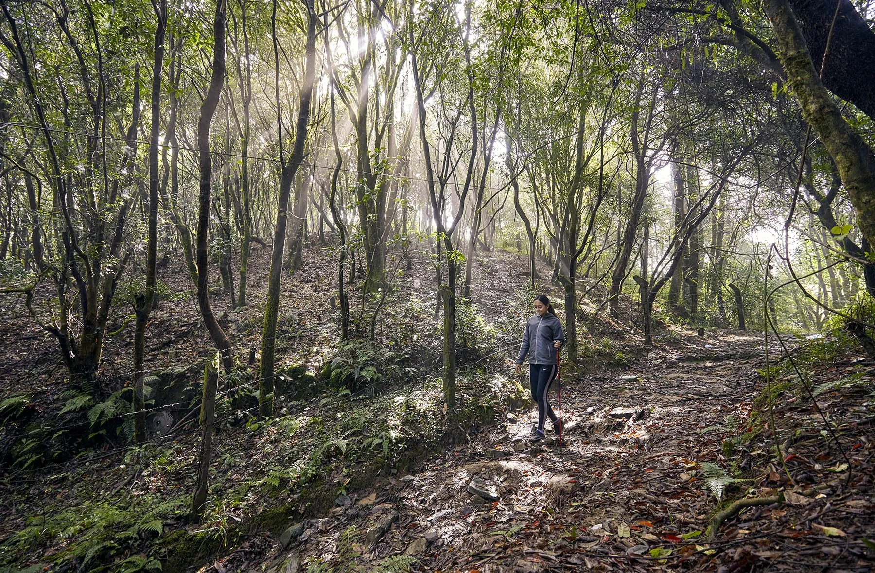 Hyatt Regency Kathmandu