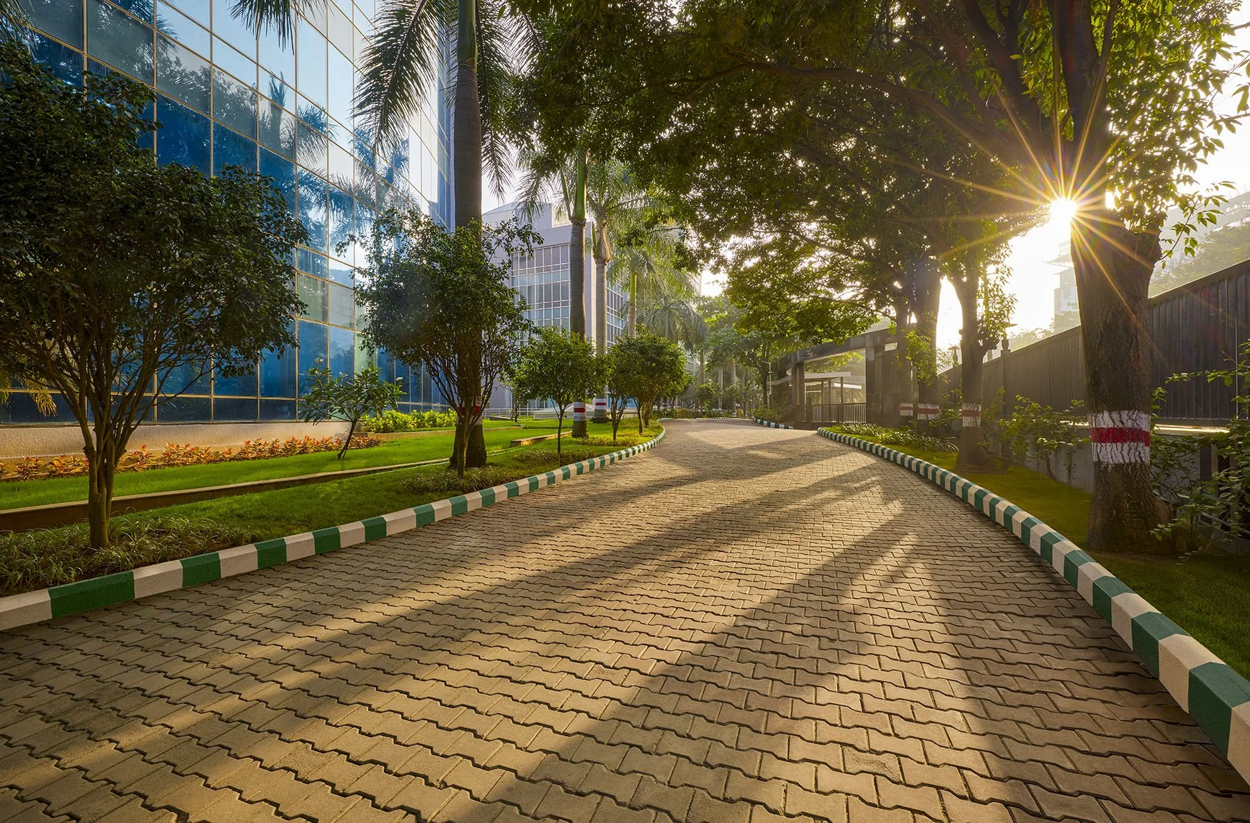 SATTVA INFOZONE 9FW.jpg