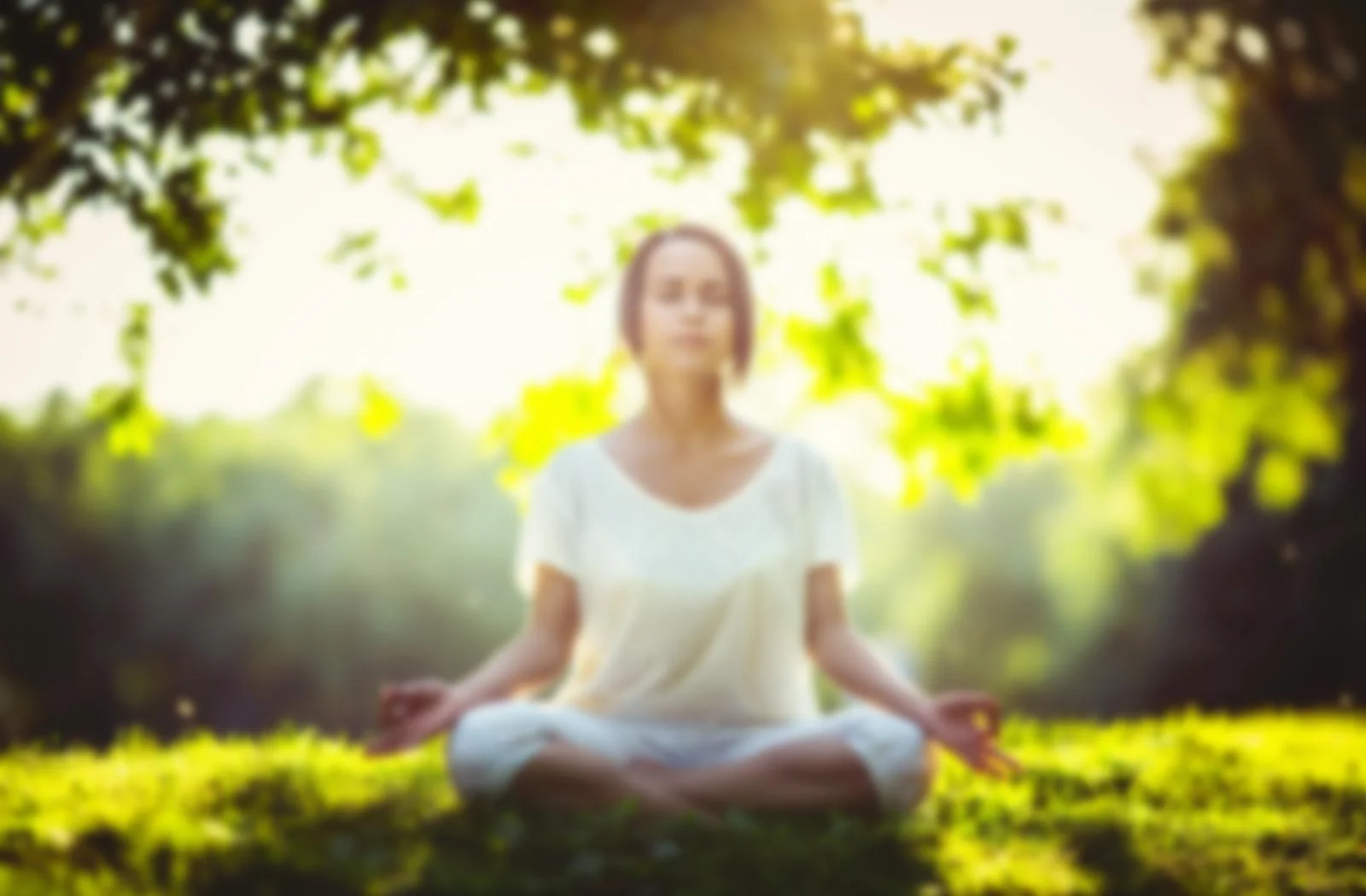 zen-foundry-header-blur-1.jpg