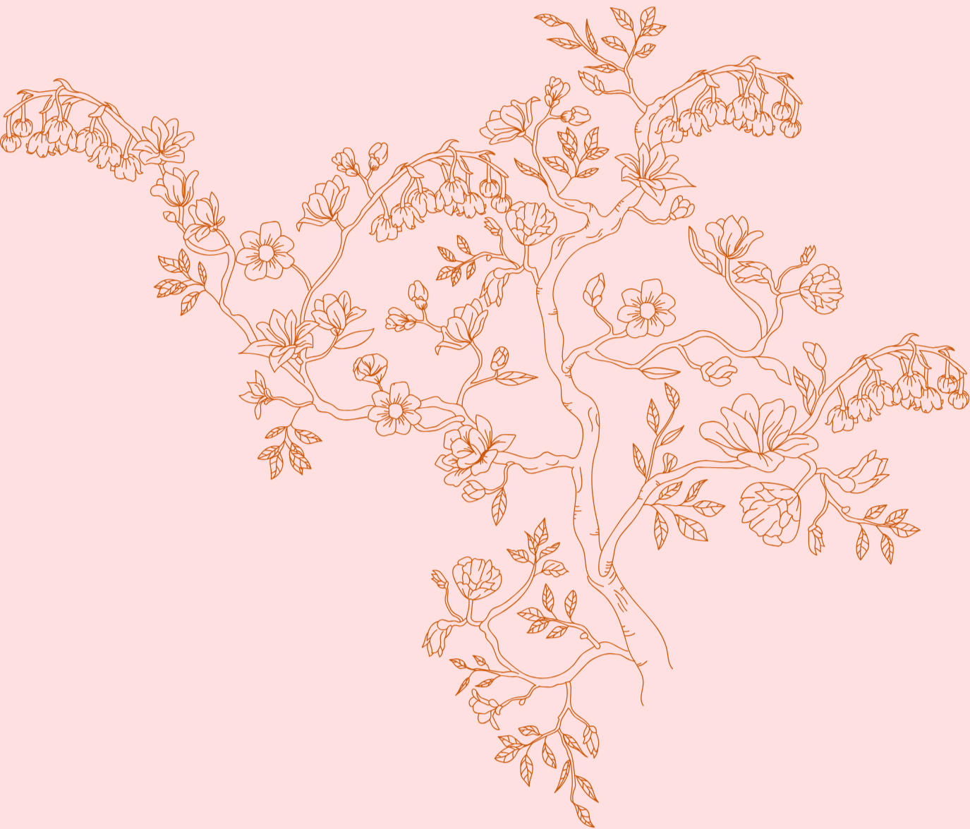 Outline drawing of a flowering tree with branches and leaves over a pink background.