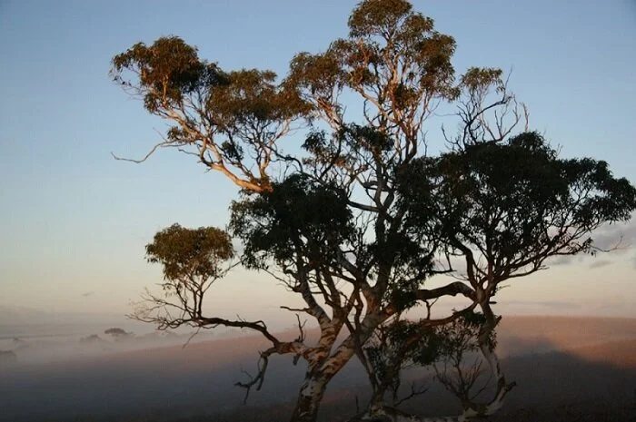 Our Mission Reach for the Sky.JPG