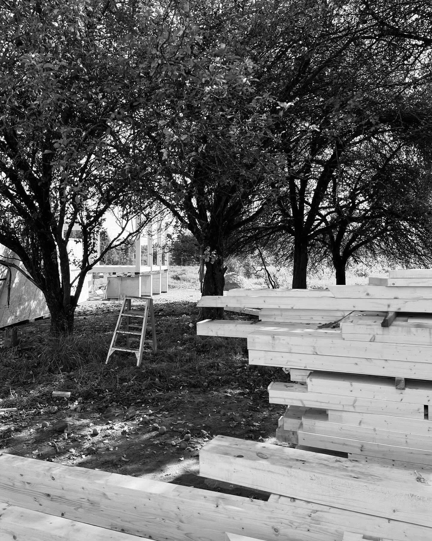 House in the Pasłęka River Valley. Site progress this week with @justwoodit1 firing on all cylinders. Exterior walls in prefabricated stud construction going up incredibly fast and CLT interior partitions up next.

It was great to see the columns of 