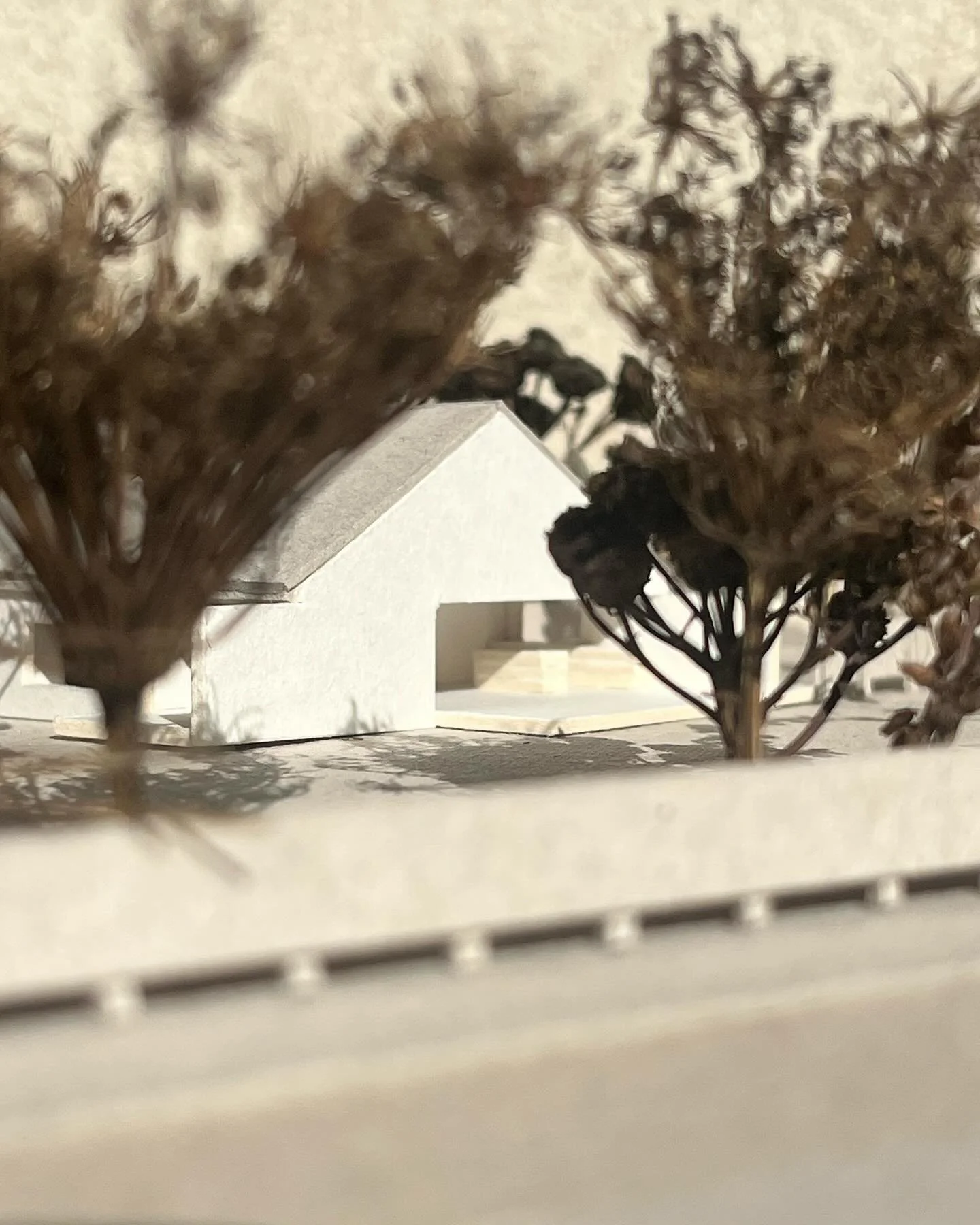 First study model for a new project, a family house in Mazury, Poland.

SO_046