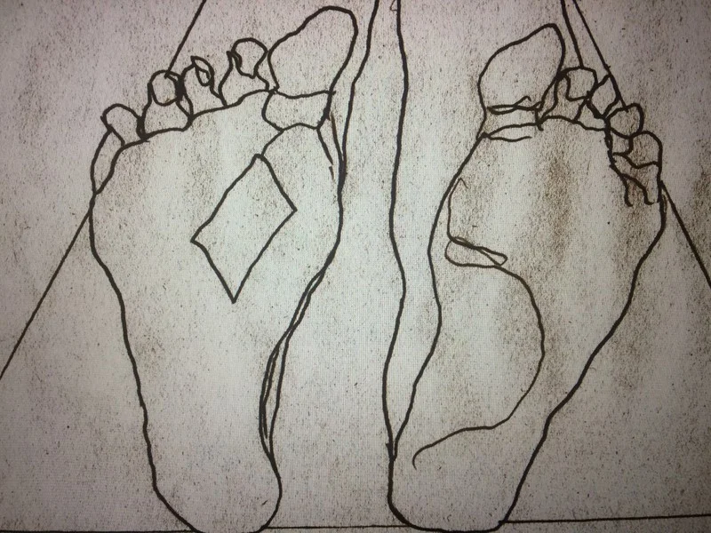 Dissection.jpg