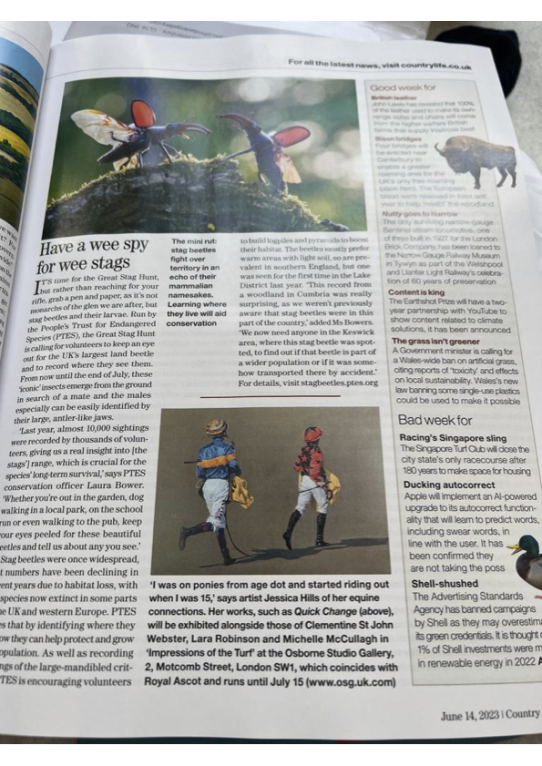 Jessica Hills in Country Life - 'Quick Change' Painting of Two Jockeys Running