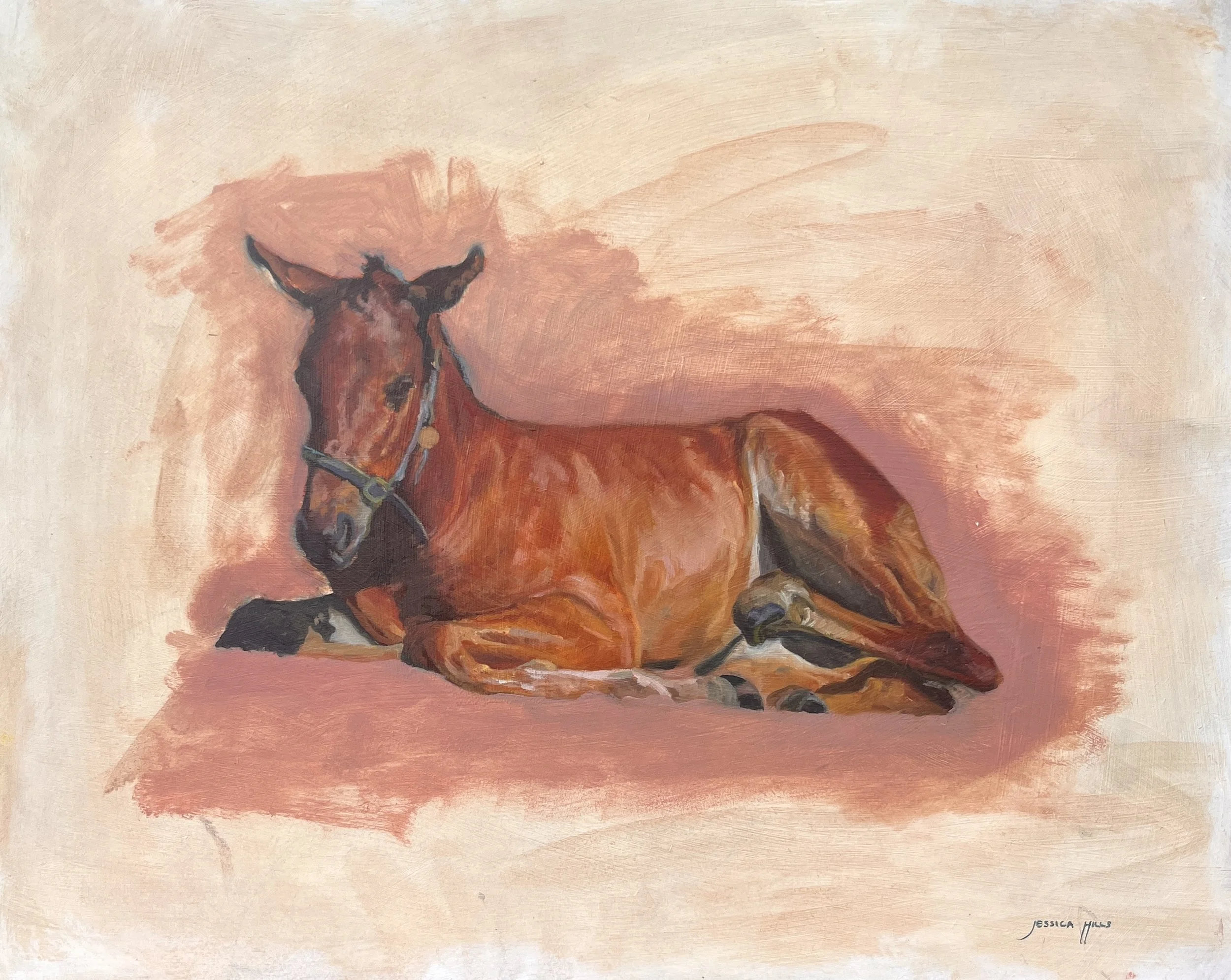 Sleepyhead, 2025 - Sold