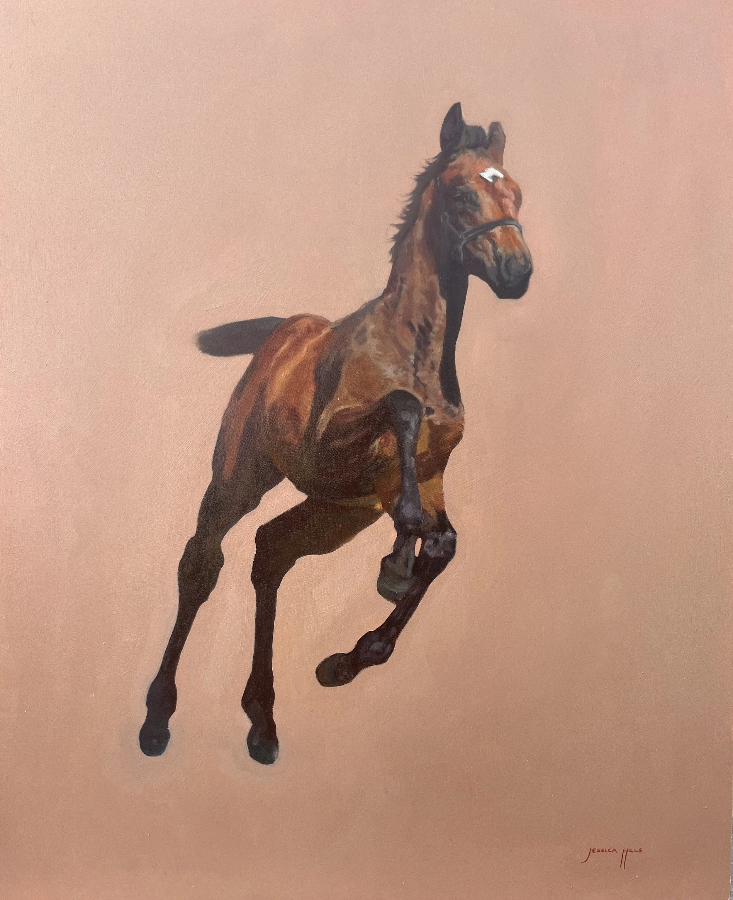 I Can Fly, 2025 - Sold