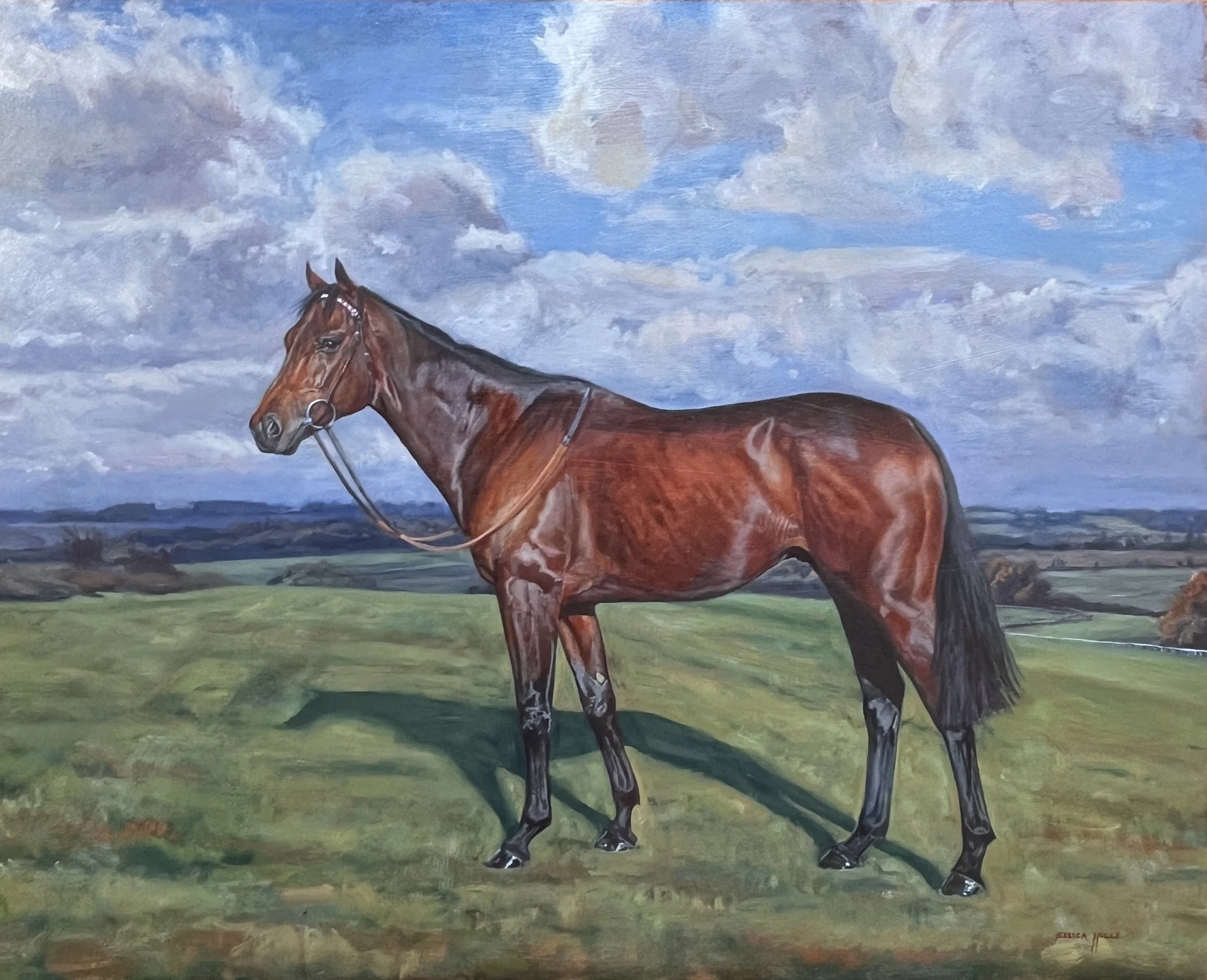 Group 1 winning racehorse, Cicero’s Gift, oil painting commission by Jessica Hills