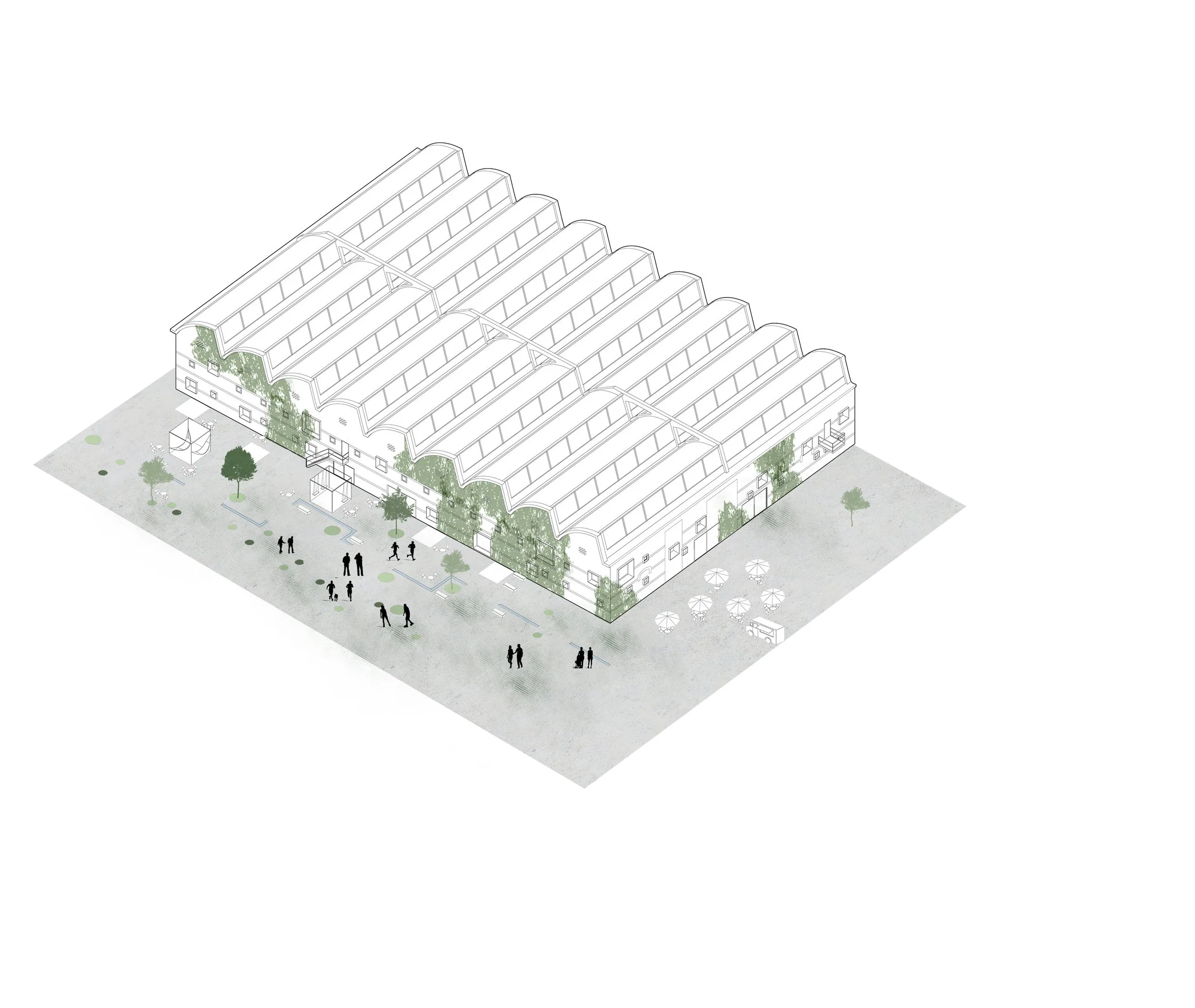 shed roof.jpg