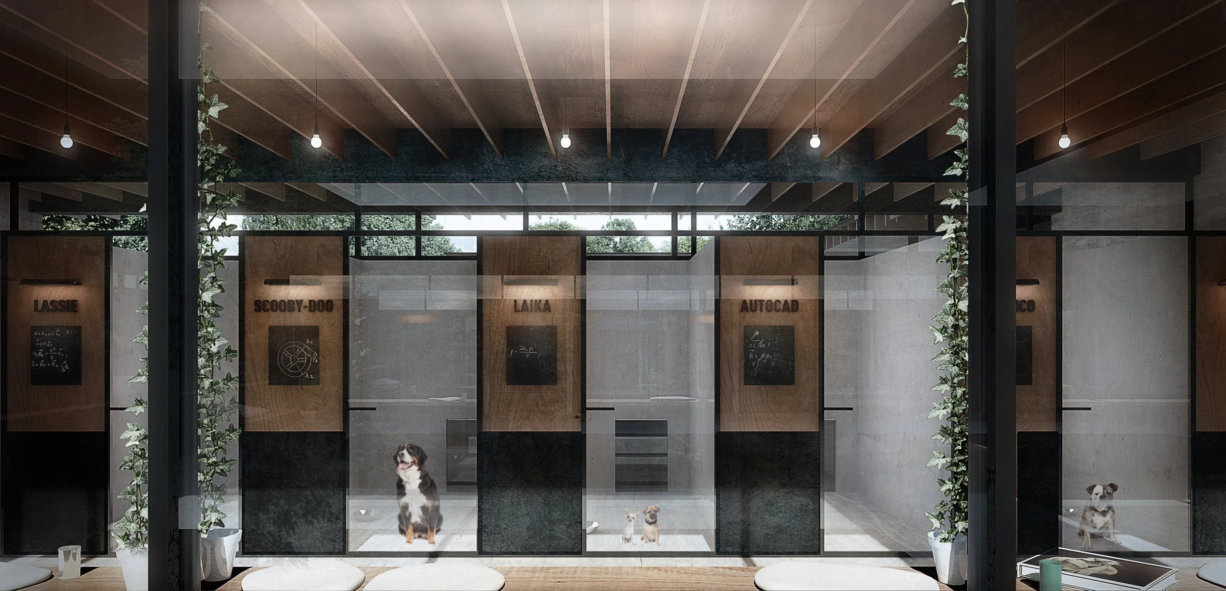 final_kennel_interior.jpg