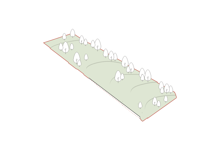Ny_gif.gif