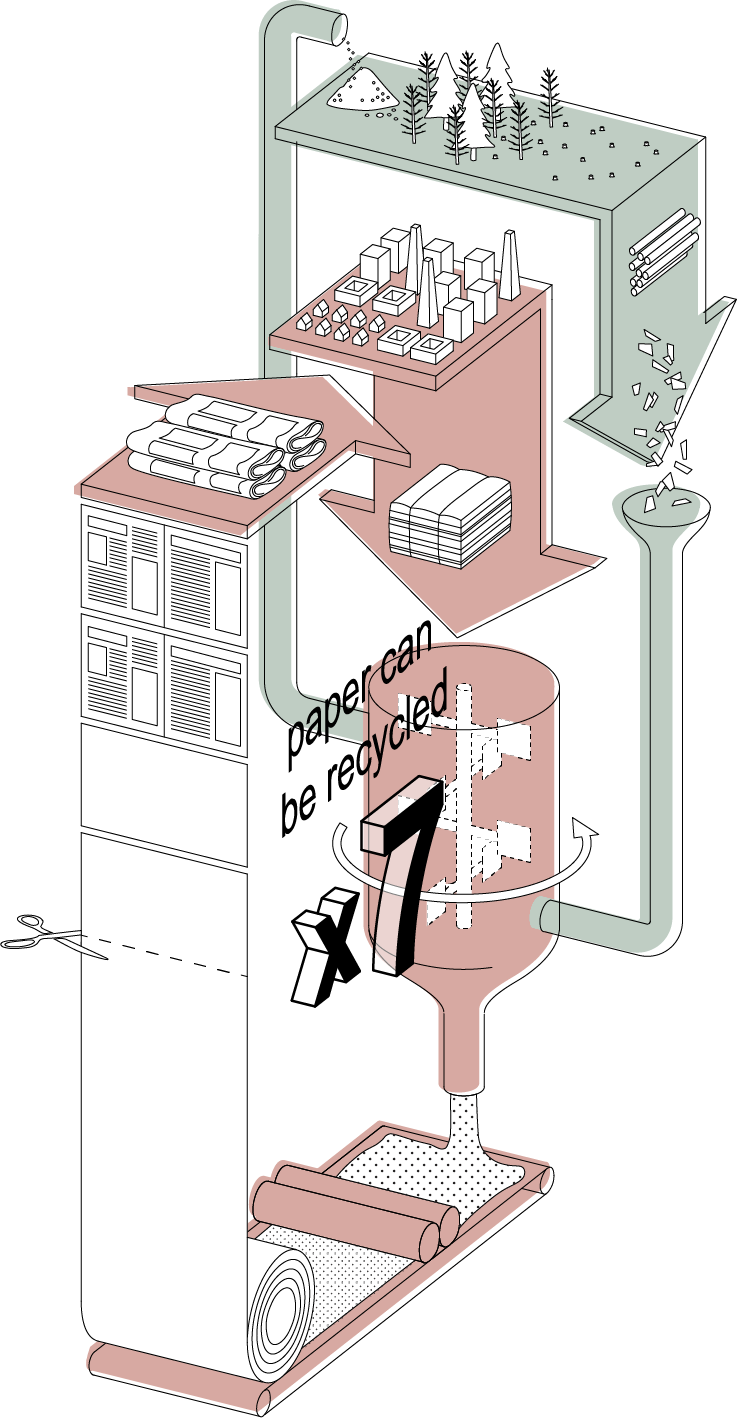 Paper cycle - Cradle to cradle
