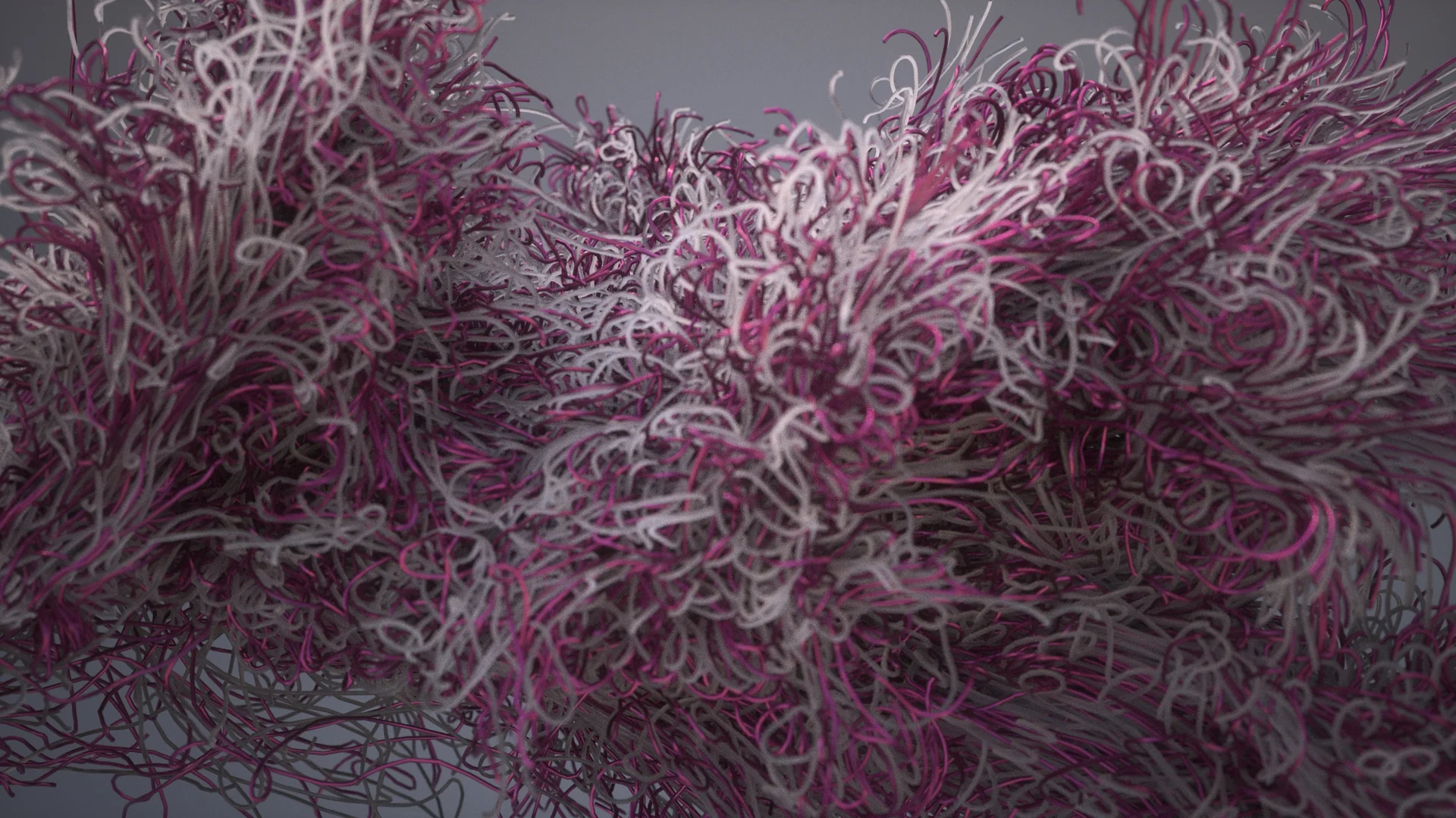 Abstract Strand_B.jpg