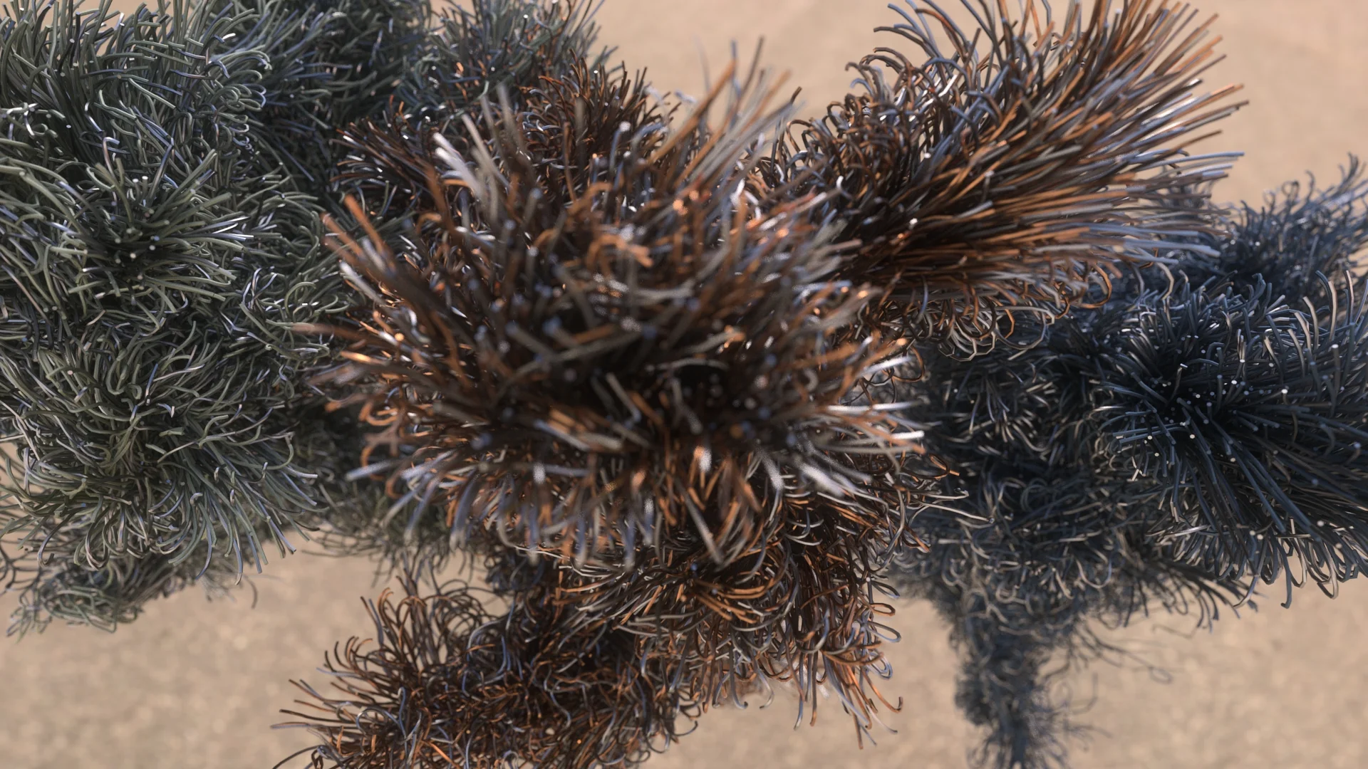 Abstract Strand_A.jpg