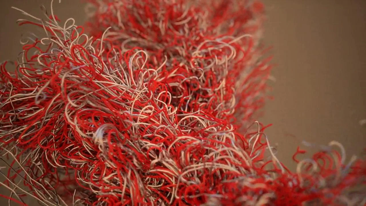 Abstract Strand_C.jpg