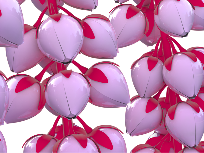 Bmuse-14.png