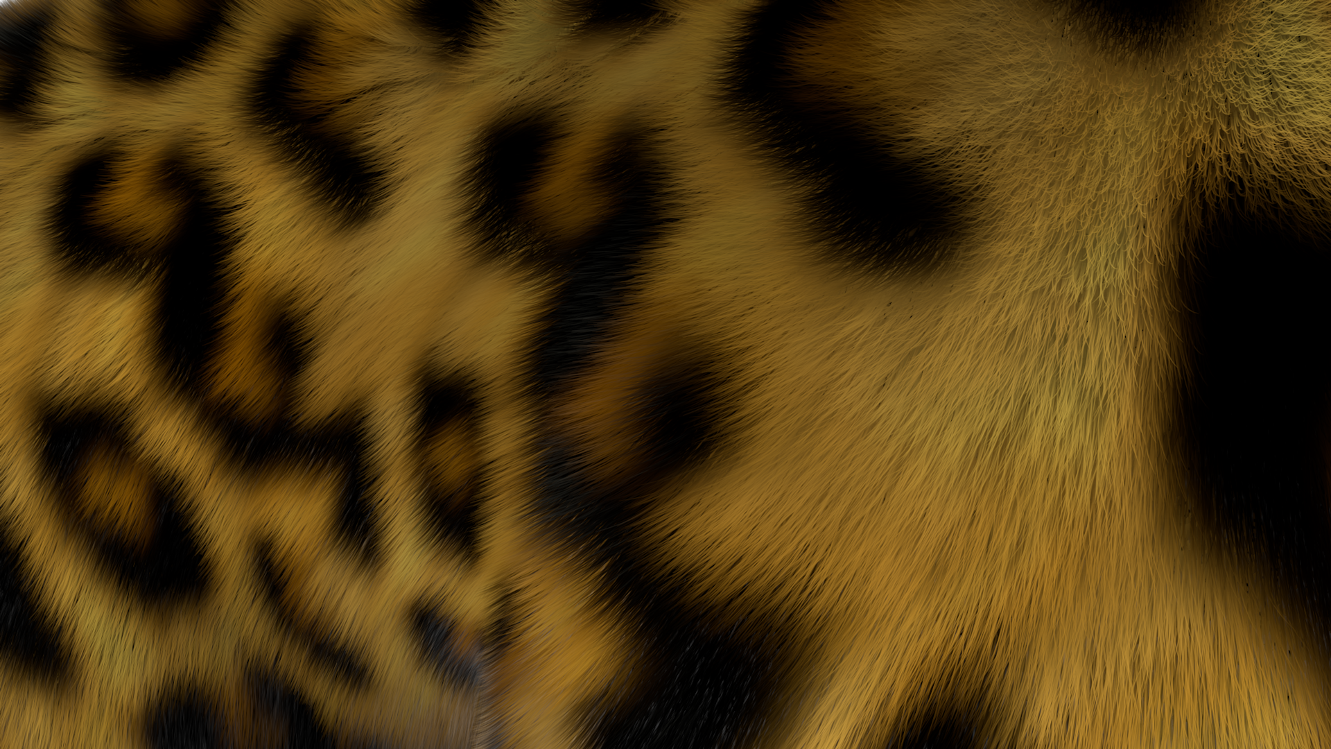 Amazonas-Fur-03_0026.png
