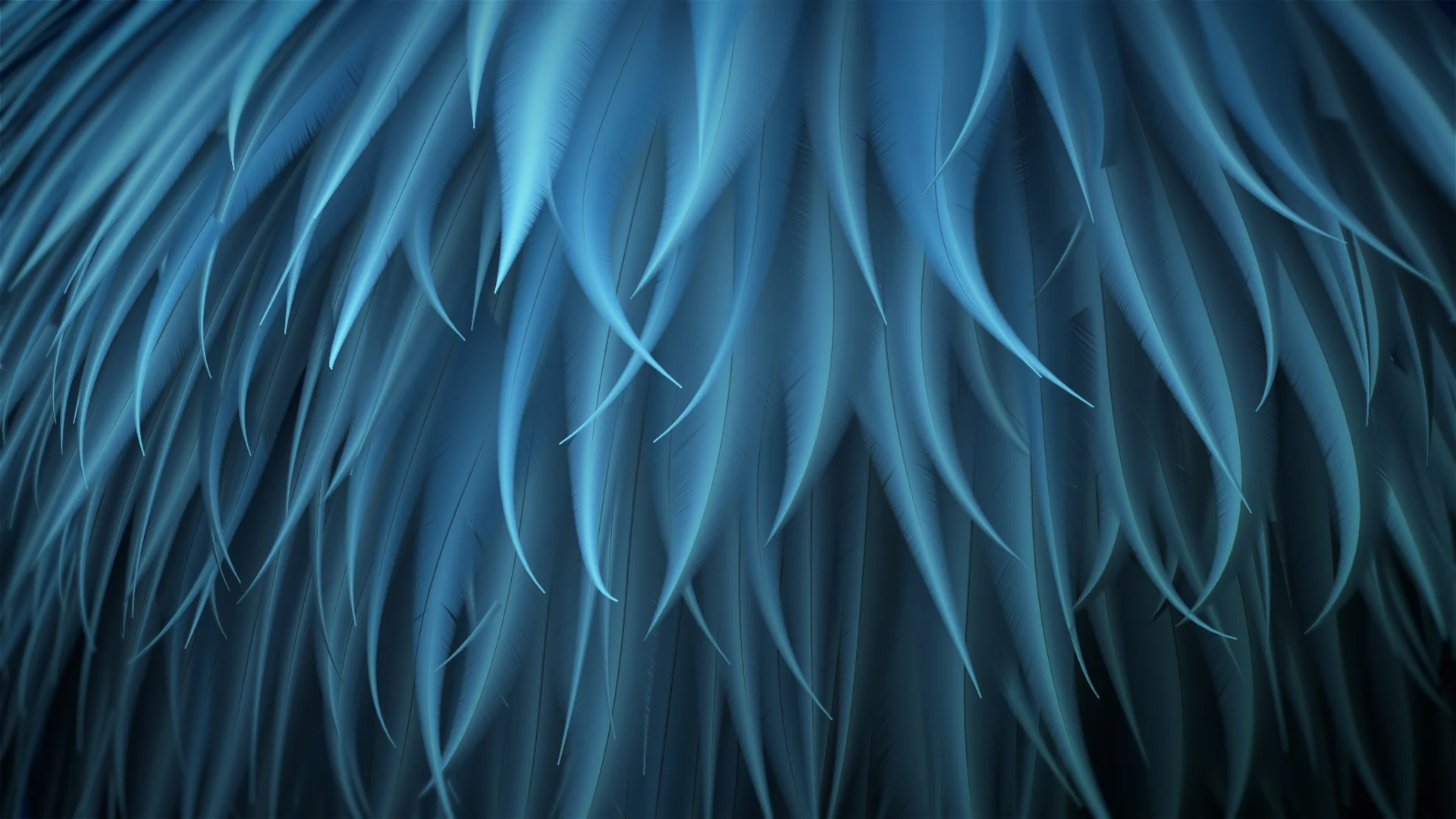 Amazonas-Feathers-03.jpg
