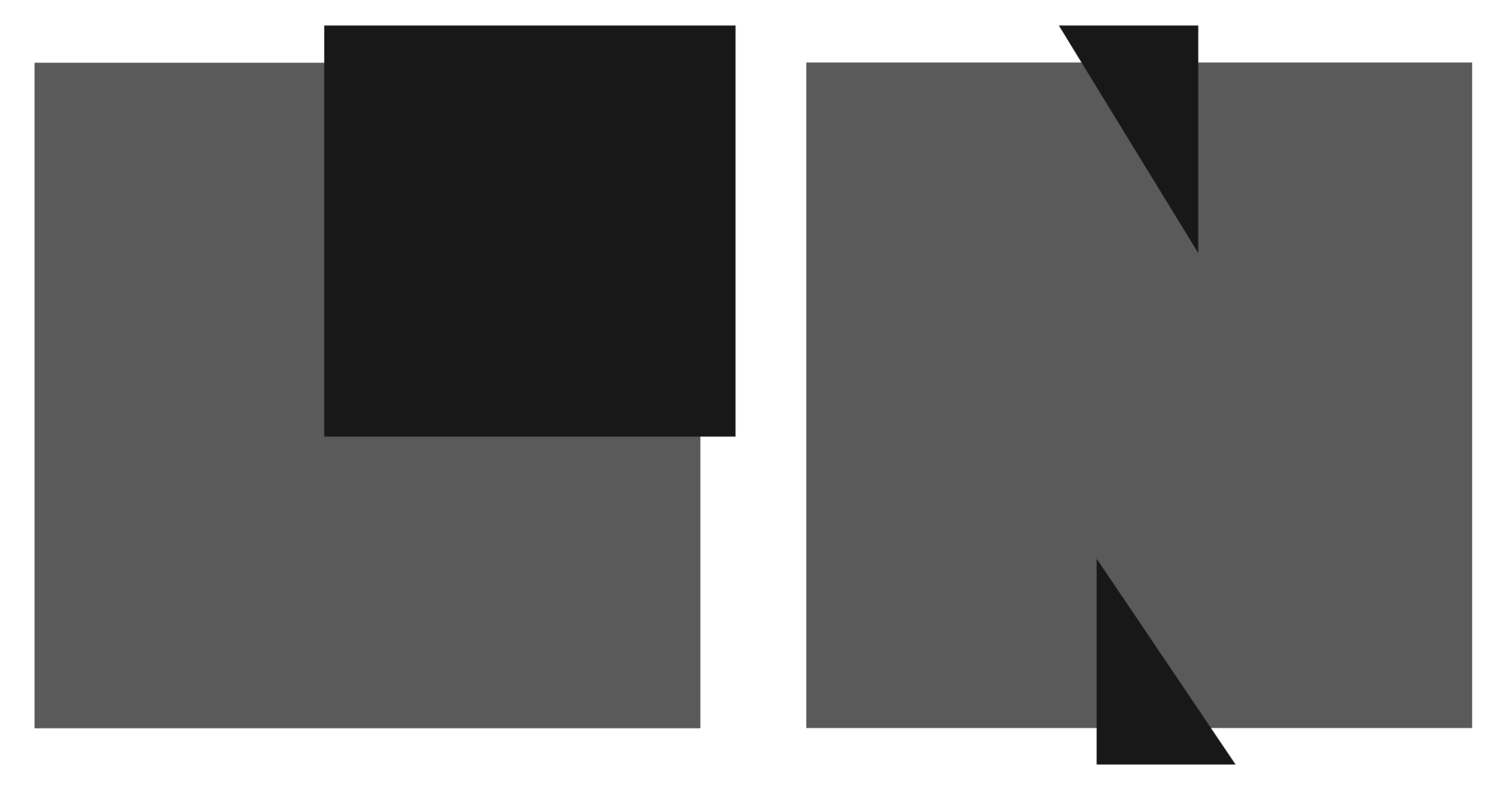 logo lnw grayscale.png