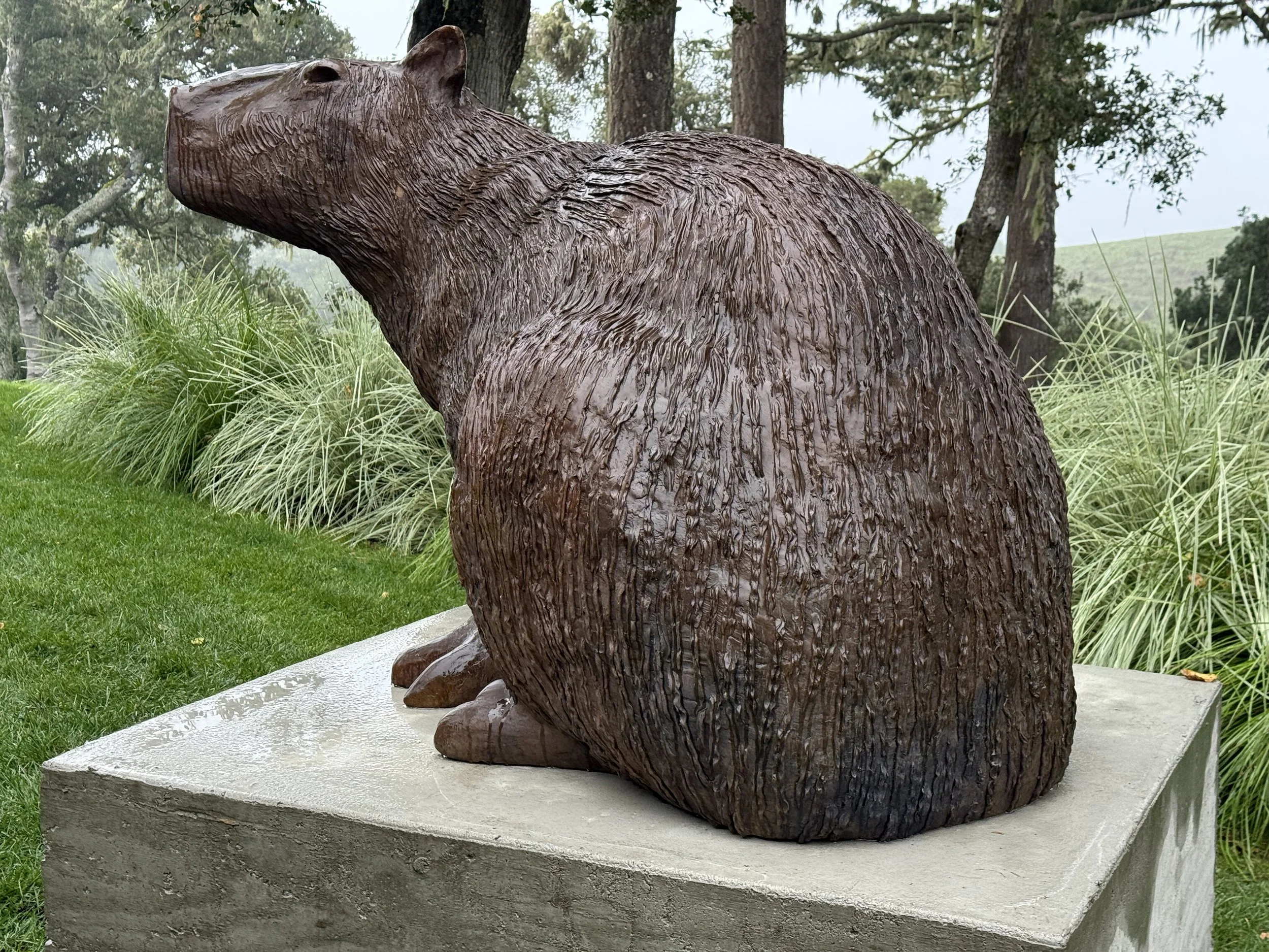 Large Capybara