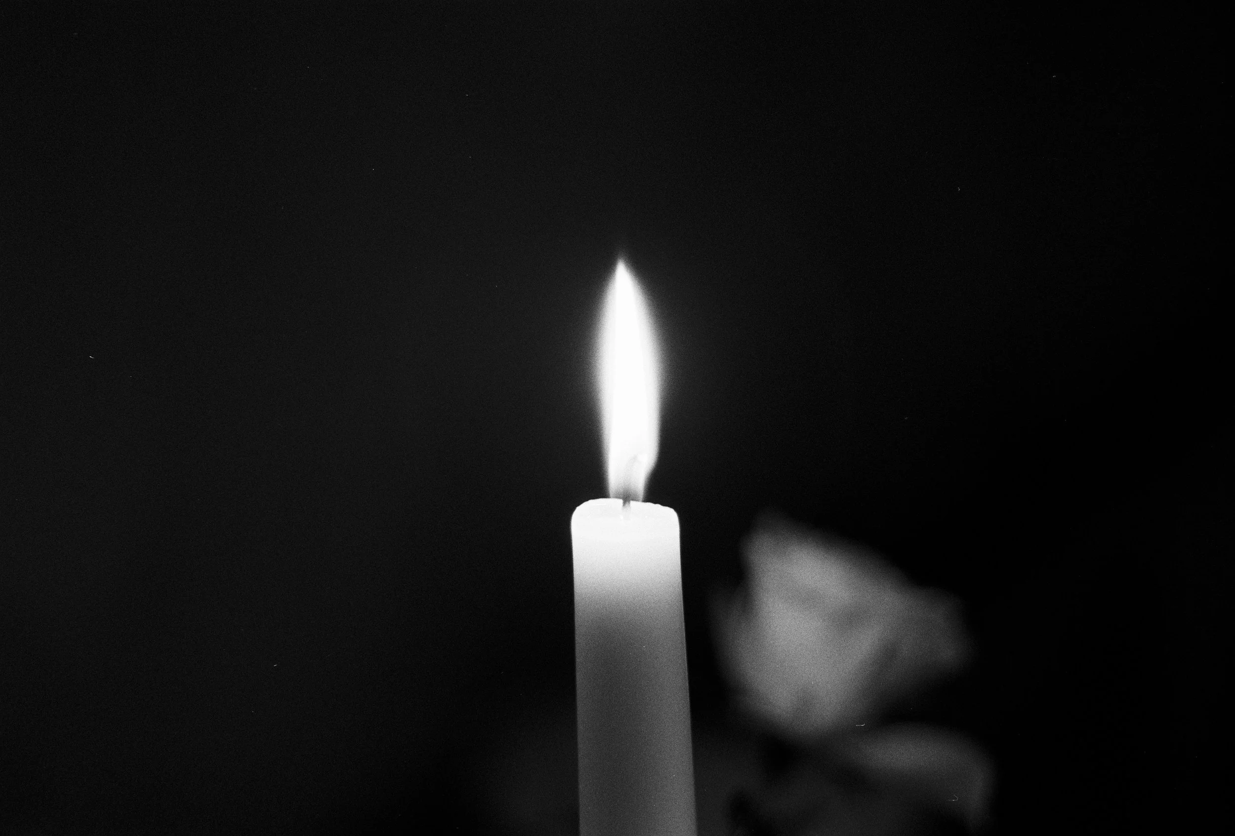 ReineD400275681-01.jpg