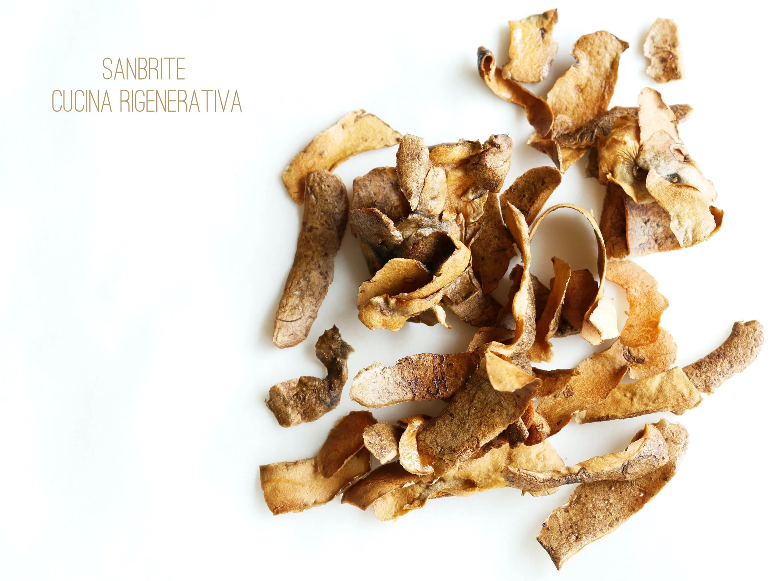 SanBrite Cucina Rigenerativa 